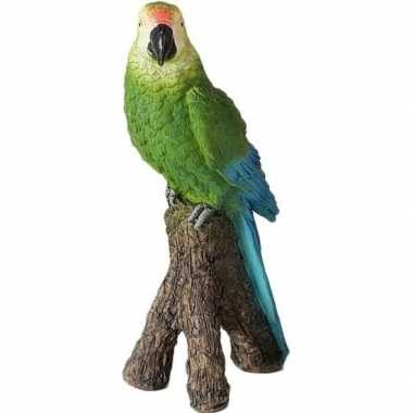 Dierenbeeld groene ara papegaai vogel 21 cm versiering