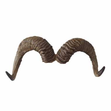 Geit gewei wandversiering 17 cm