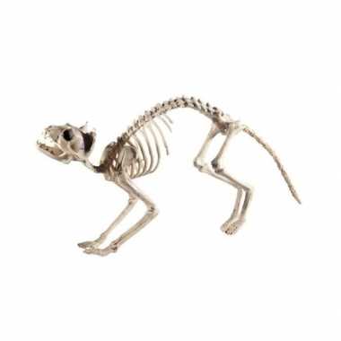 Halloween kat/poes skelet halloween/horror versiering 60 cm