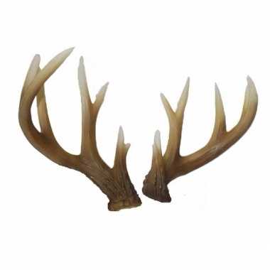 Hert gewei wandversiering 34 cm