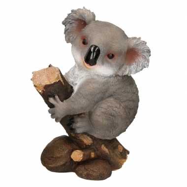 Koala dieren beeld woonversiering 32 x 21 x 46 cm