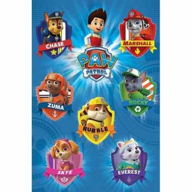 Versiering poster paw patrol