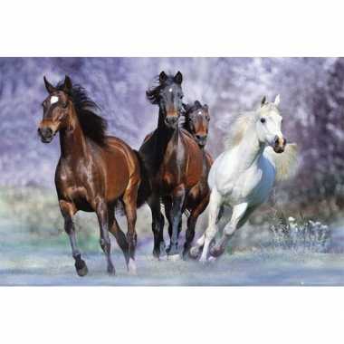 Versiering poster van paarden
