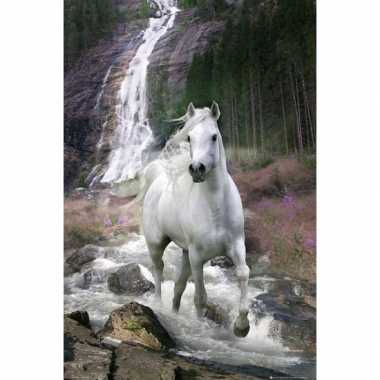 Versiering poster waterval met paard