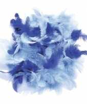 10 gram versiering sierveren blauw tinten
