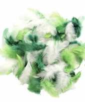 10 gram versiering sierveren groen tinten