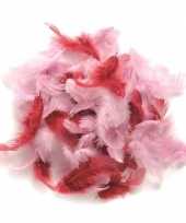 10 gram versiering veren roze tinten