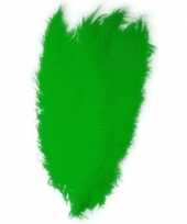 2x grote versiering veren struisvogelveren groen 50 cm