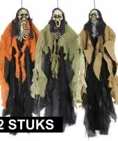 2x horrorthema skelet versiering