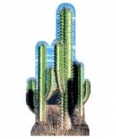 Cactus versiering bord