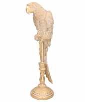 Dierenbeeld gouden papegaai vogel op stok 50 cm versiering