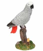 Dierenbeeld papegaai grijze roodstaart vogel 21 cm woonversiering