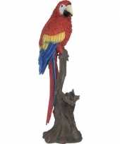 Dierenbeeld rode ara papegaai vogel 53 cm woonversiering