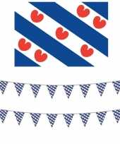 Friesland versiering set met vlag 2 vlaggenlijnen