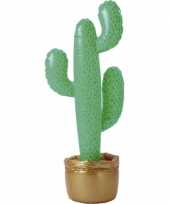 Opblaas versiering cactus