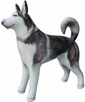 Opblaasbare husky hond 75 cm versiering speelgoed