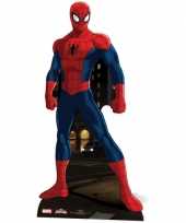 Spiderman versieringbord