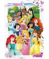 Versiering poster prinsessen 61 x 91 5 cm